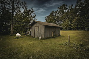  Photo 47