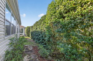 Rear and Side Privacy Landscaping