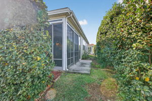 Rear and Side Privacy Landscaping