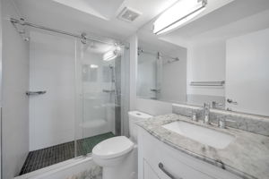 Guest Bathroom2
