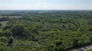  Photo 0