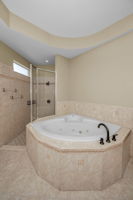 Master Bathroom1b