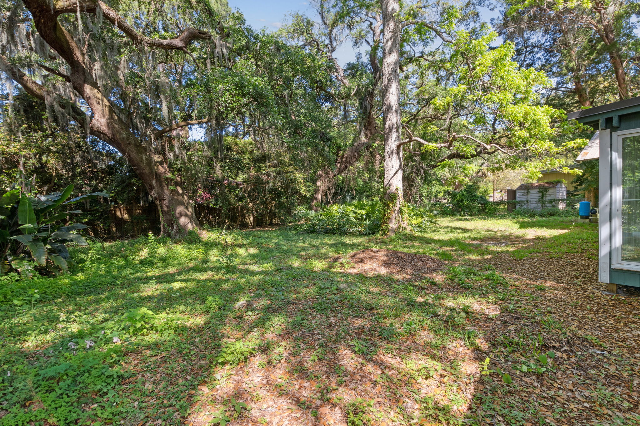 Backyard