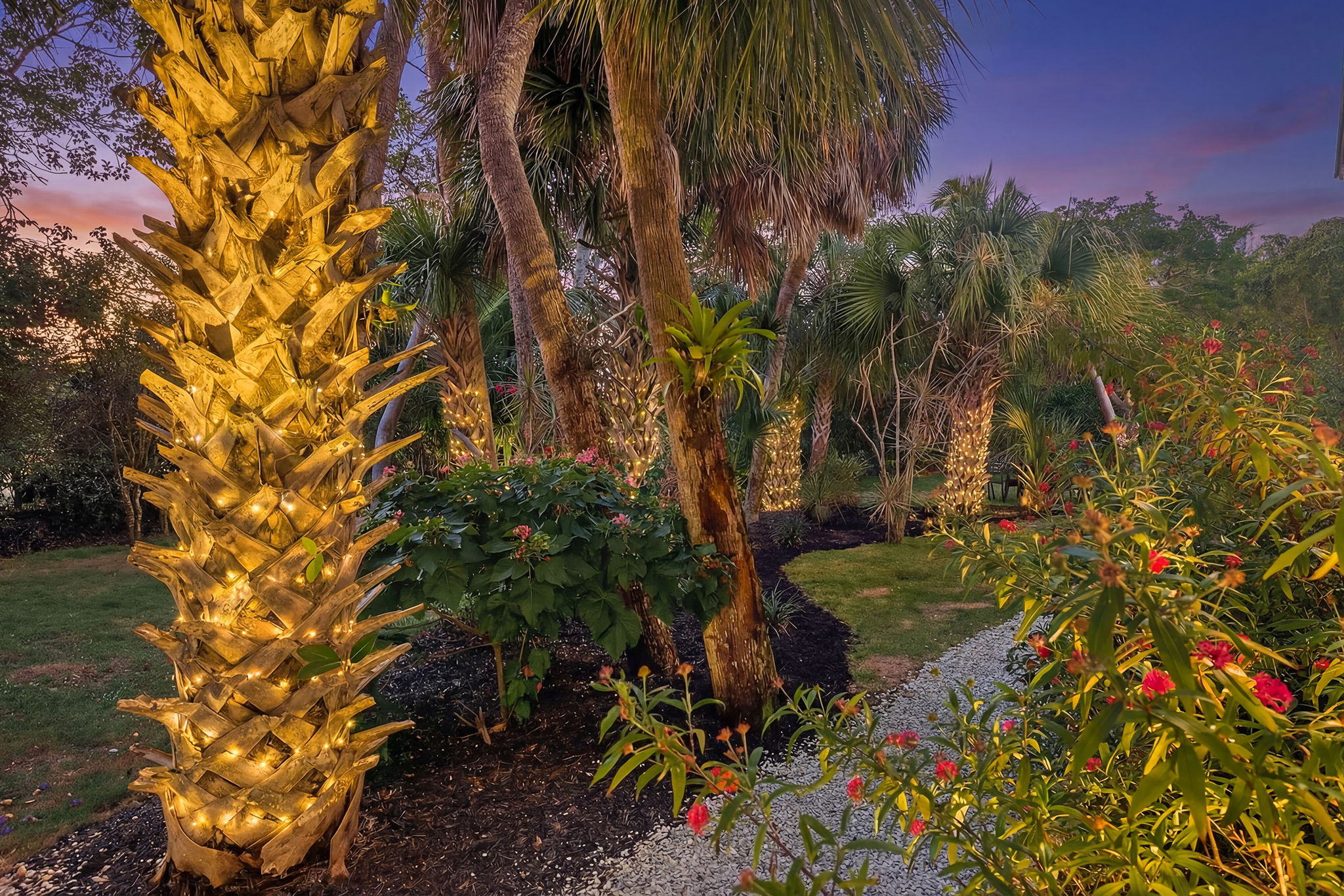 Backyard 6 -Twilight