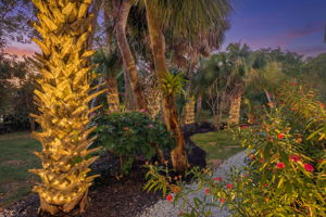 Backyard 6 -Twilight