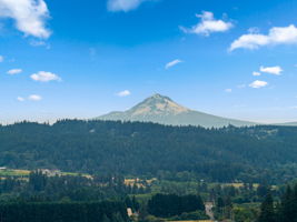 DJI_20260625103913_0286_D