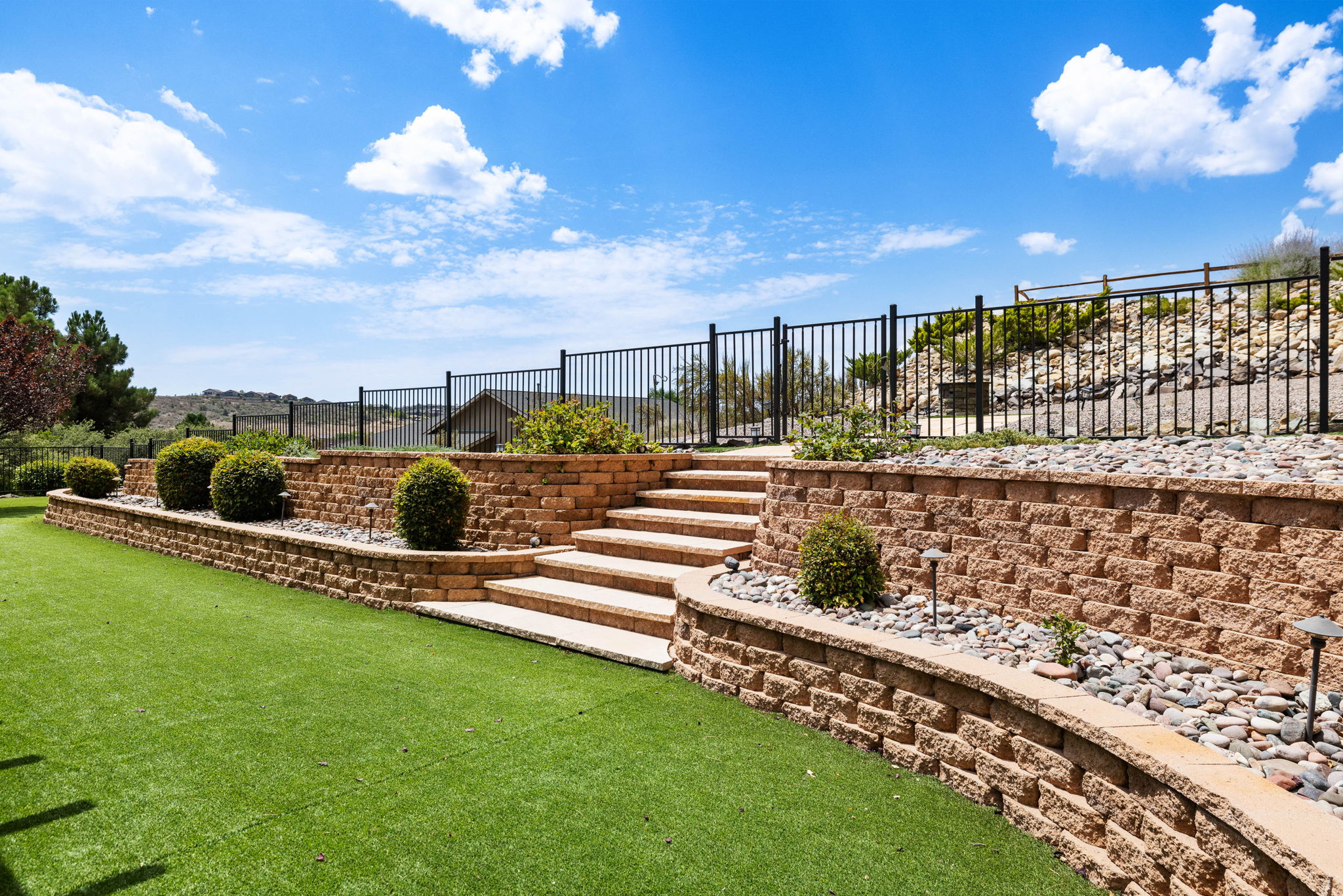 Backyard (1)