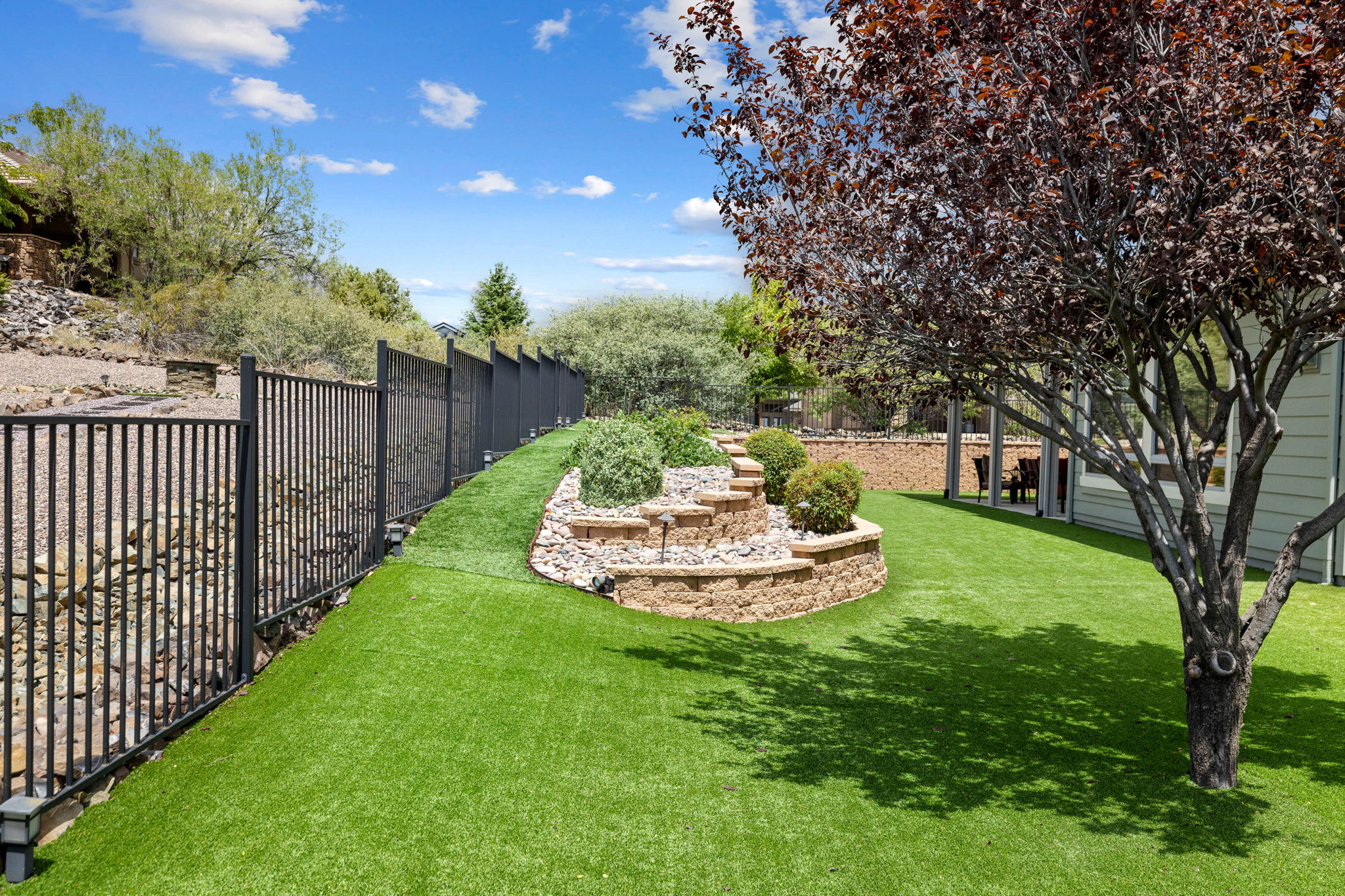 Backyard (3)