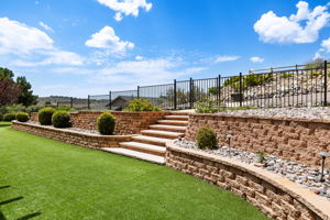 Backyard (1)