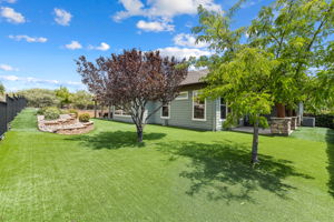 Backyard (2)