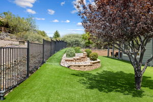 Backyard (3)