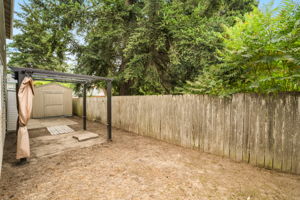 Backyard - Fenced