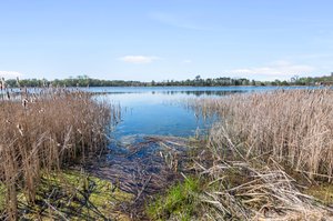 Thompson Lake