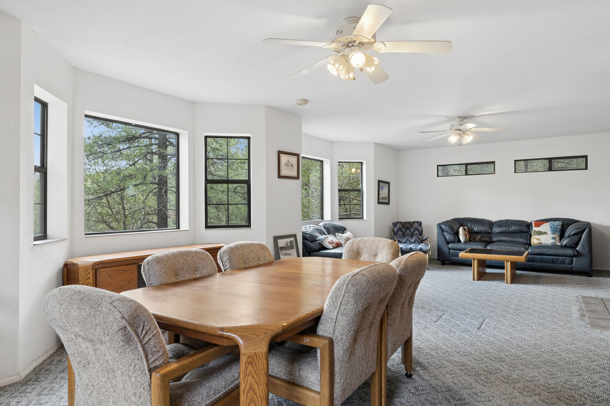 Dining Room/Living Room