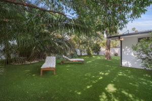  Photo 50