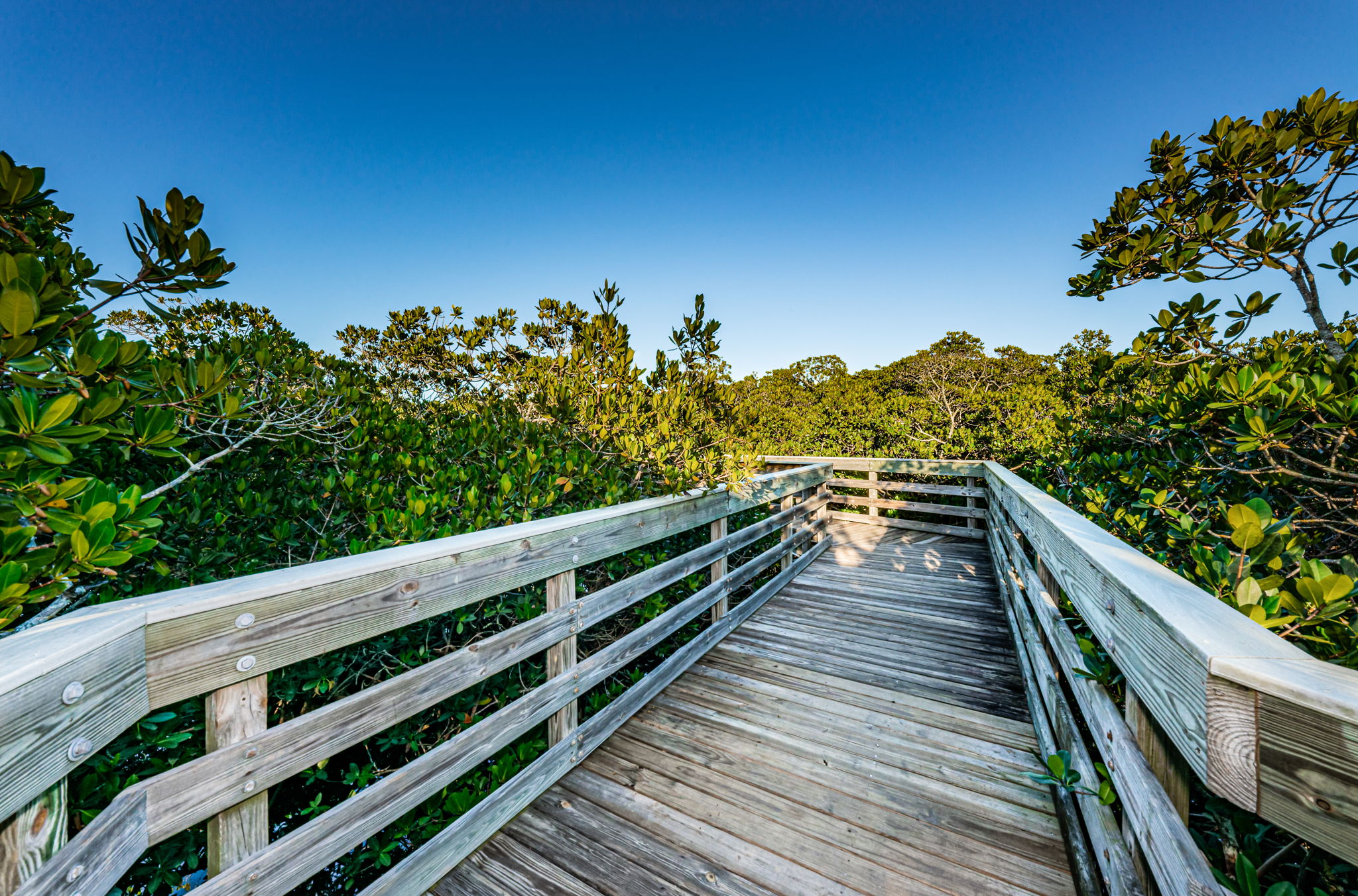 10-Towne Square Nature Park