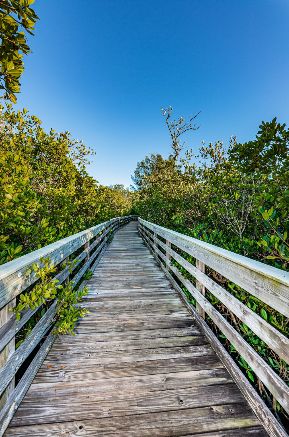 6-Towne Square Nature Park