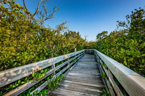 5-Towne Square Nature Park