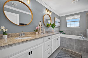 Primary Bathroom 1 of 3