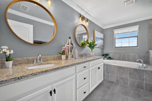 Primary Bathroom 2 of 3