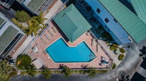 Palm Beach Pool 4