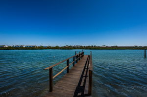 Palm Beach Dock 1