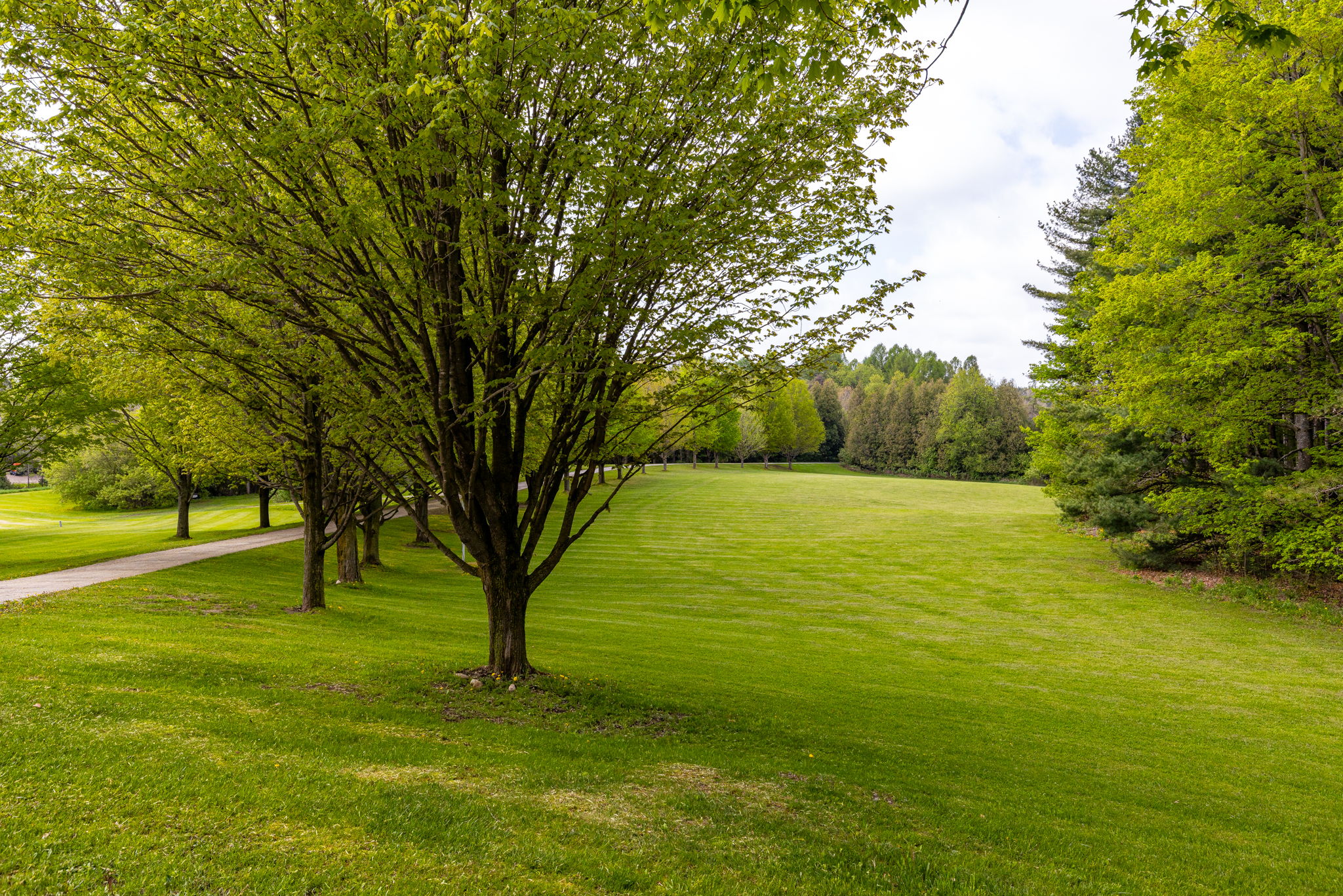 Alton property showcase — delivered property photograph 41