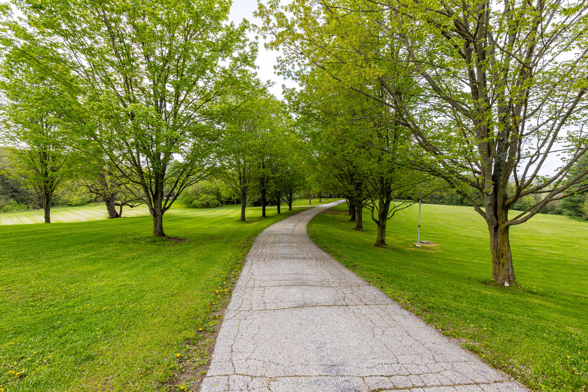 Alton property showcase — delivered property photograph 43