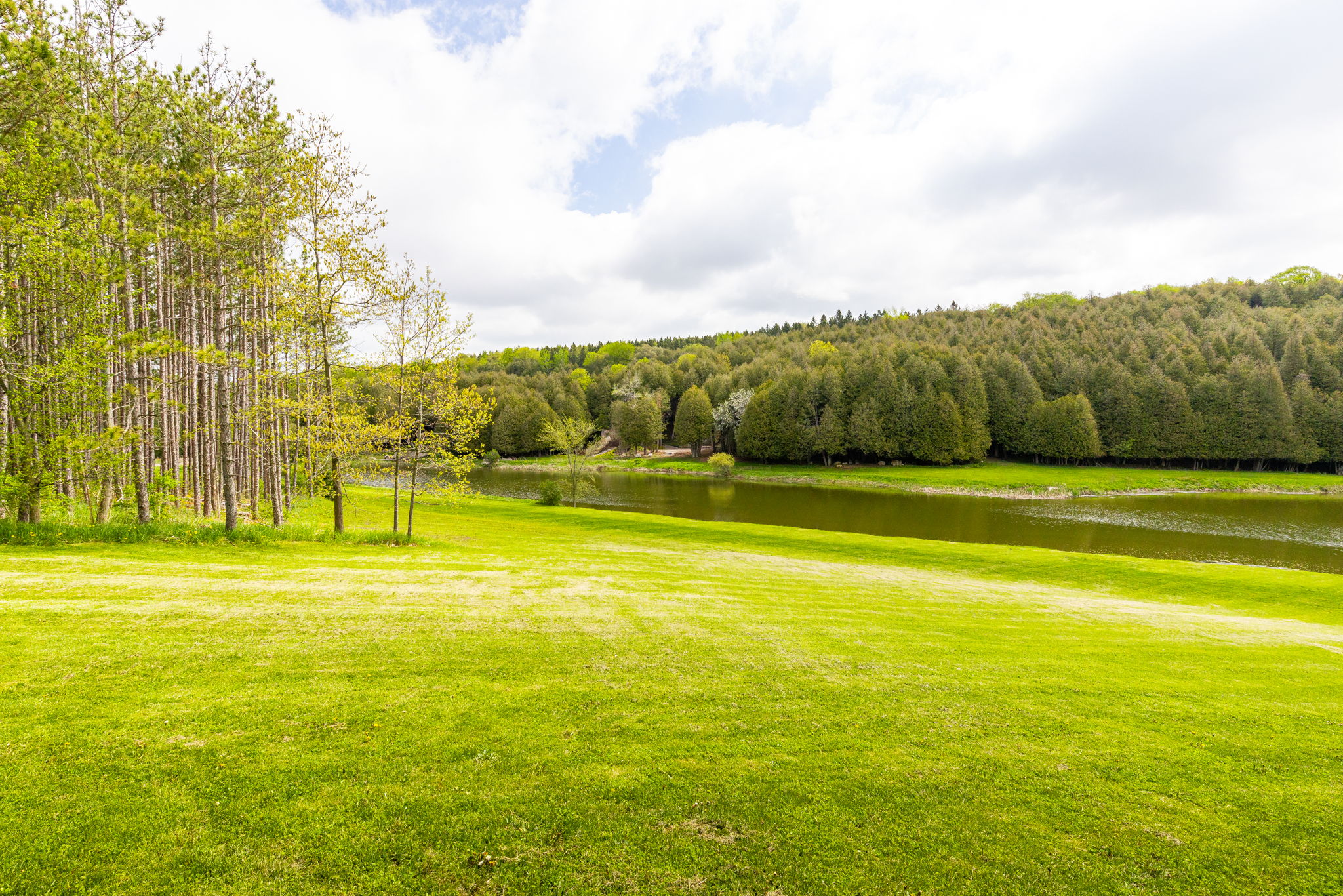 Alton property showcase — delivered property photograph 54