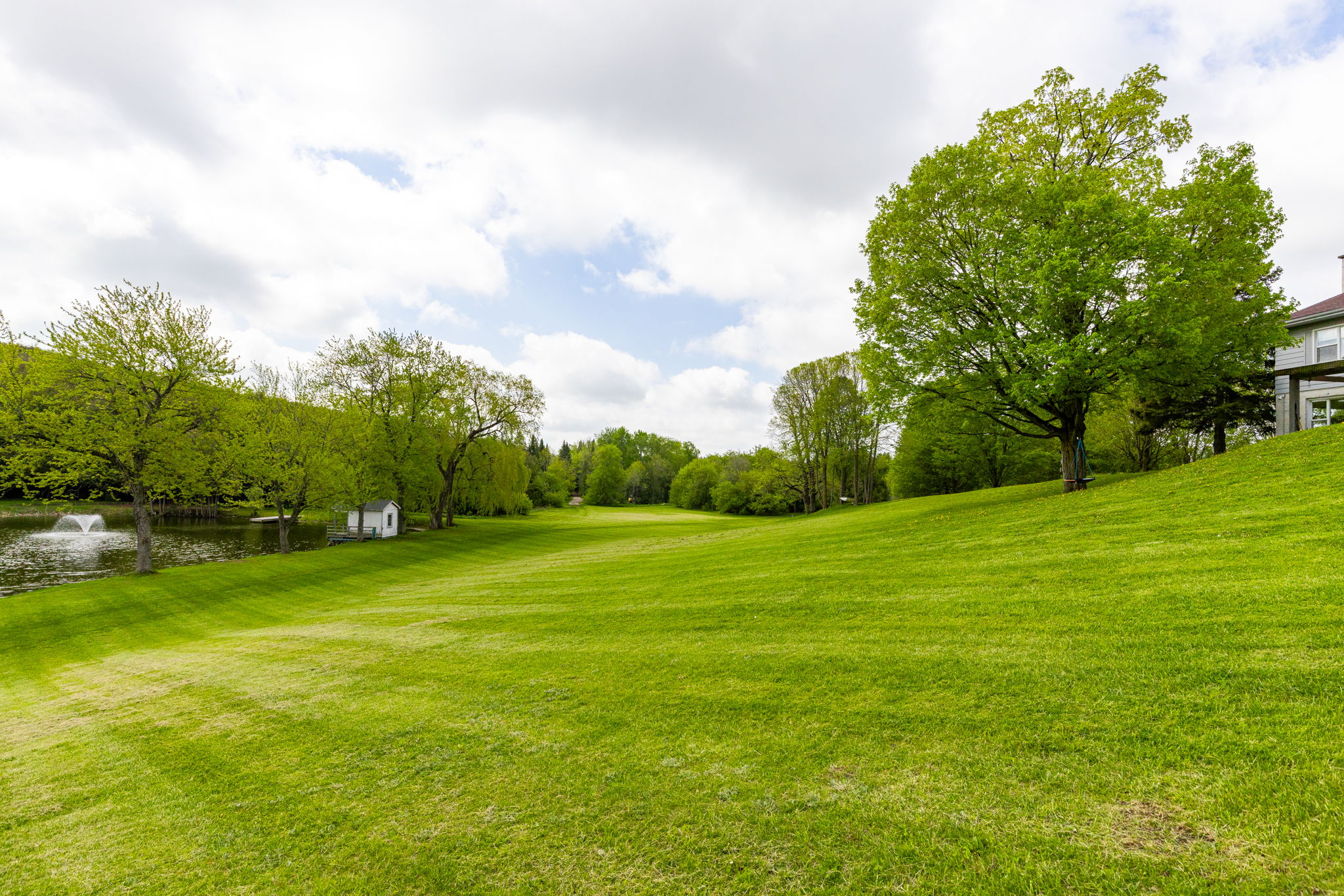 Alton property showcase — delivered property photograph 57