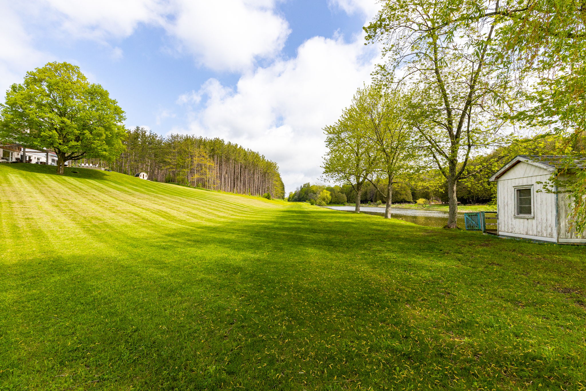 Alton property showcase — delivered property photograph 61