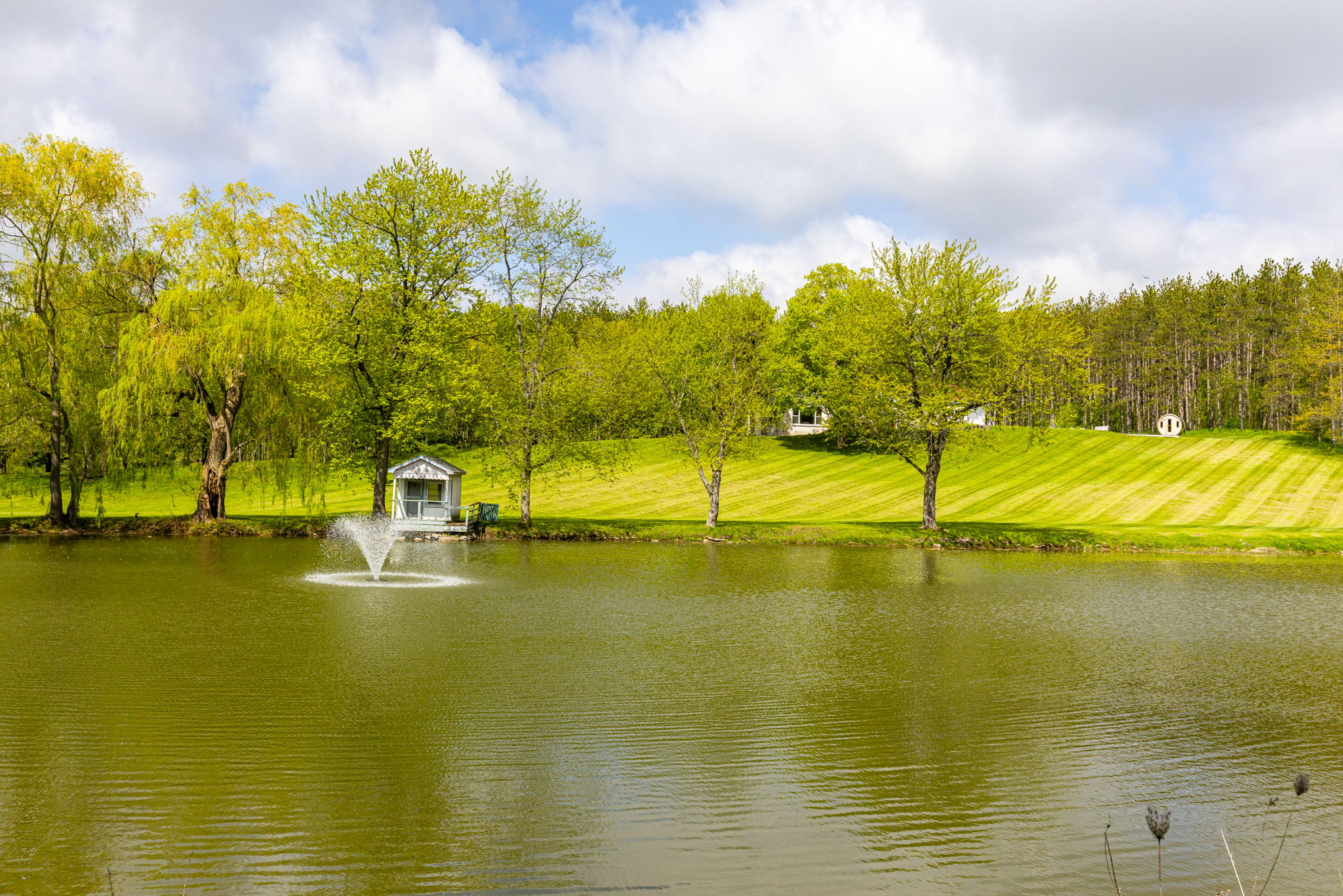 Alton property showcase — delivered property photograph 64