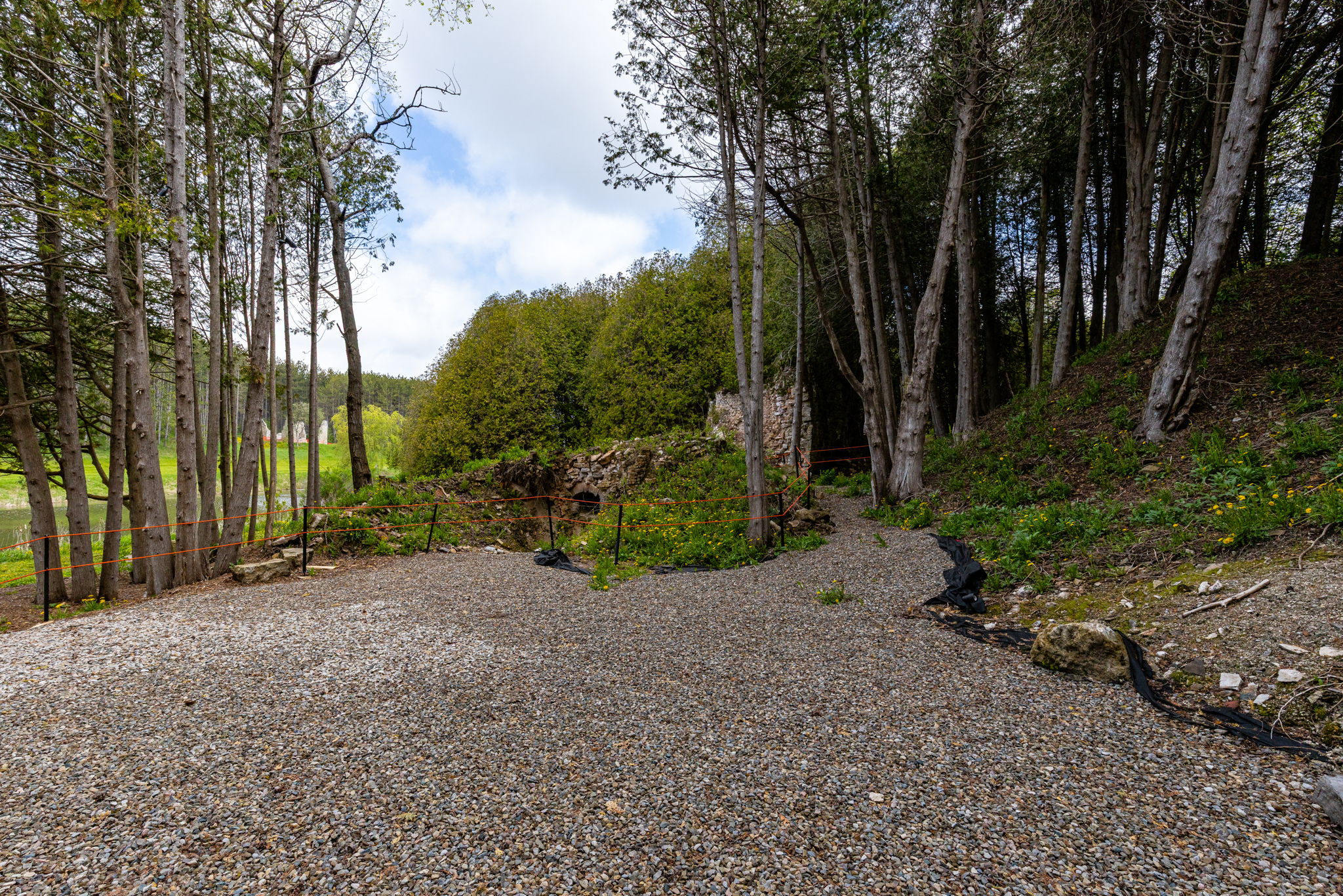 Alton property showcase — delivered property photograph 68