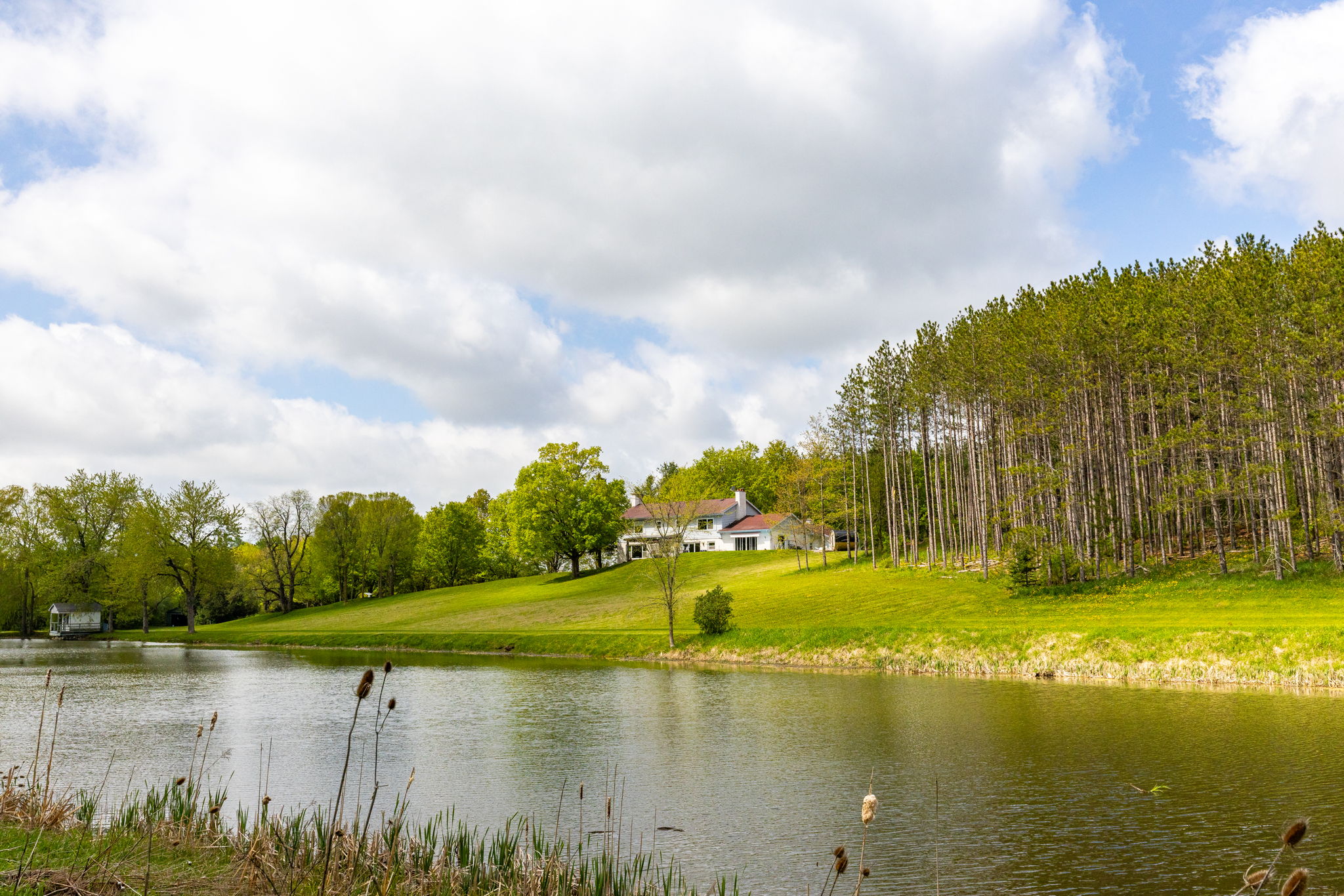 Alton property showcase — delivered property photograph 72