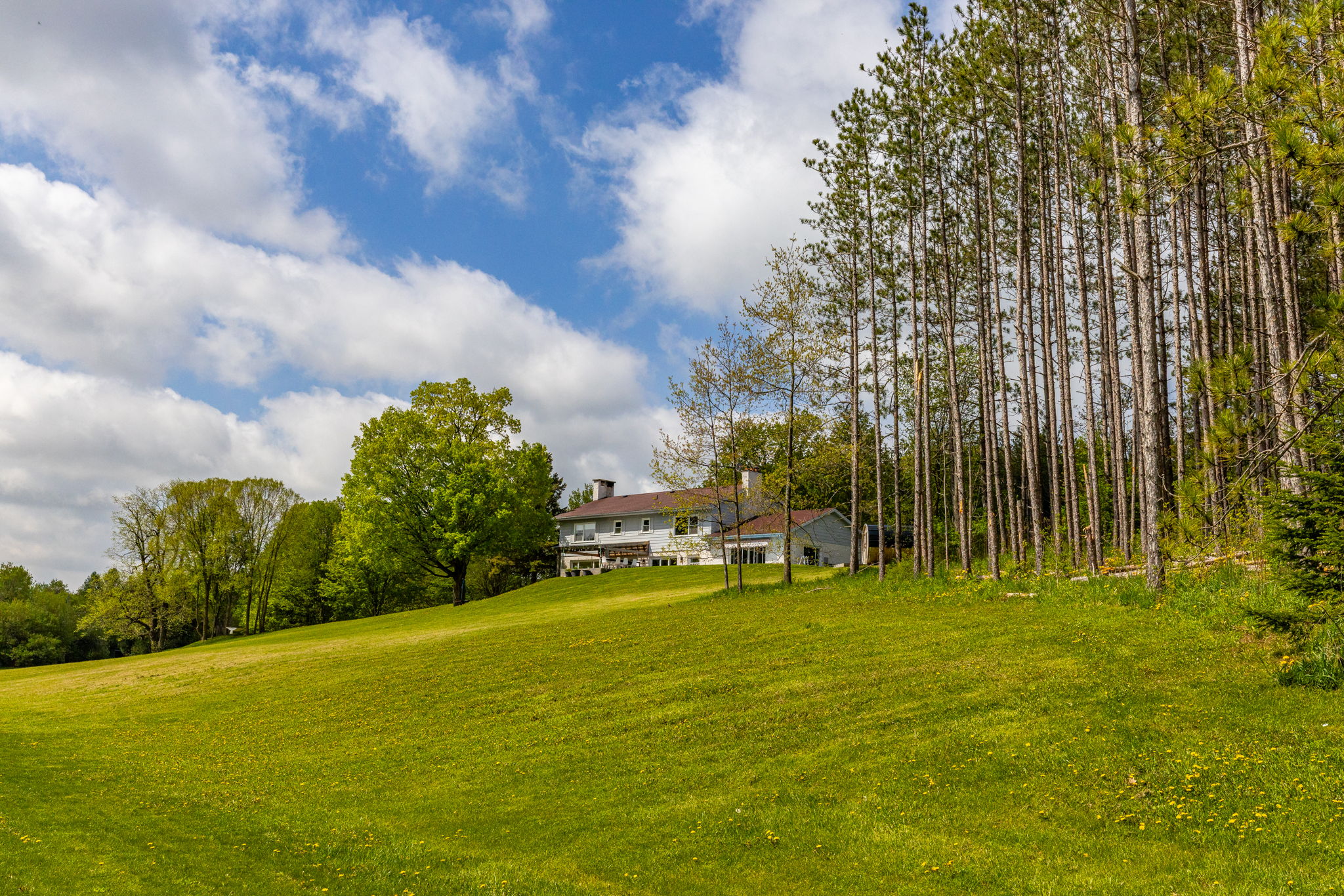 Alton property showcase — delivered property photograph 79