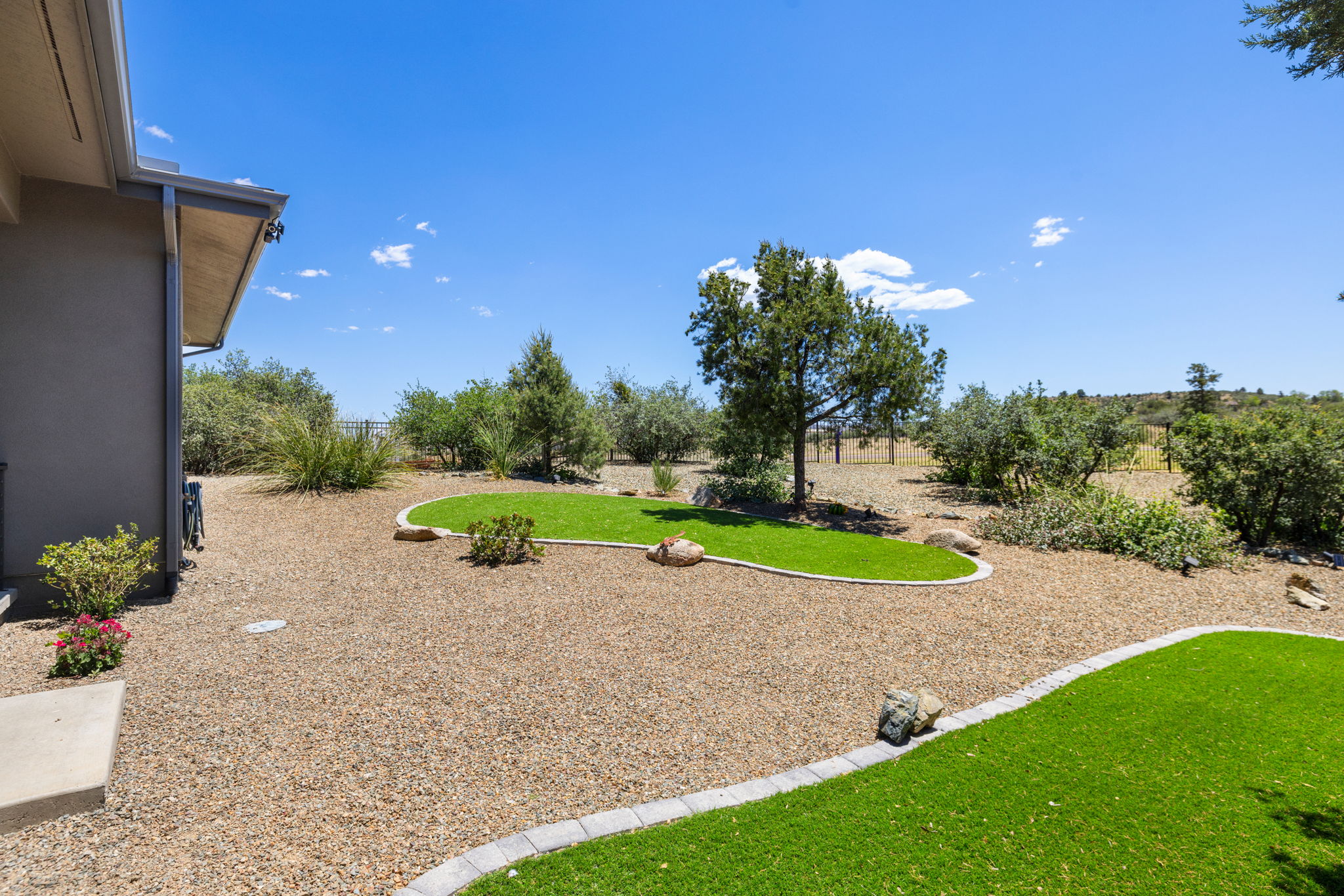 Backyard (2)