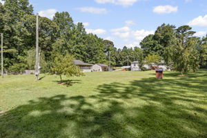  Photo 48
