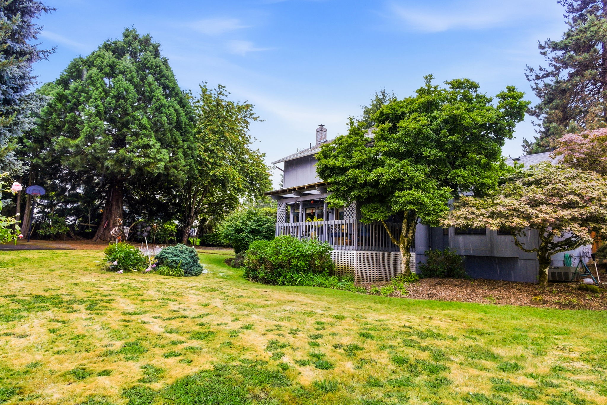 Cunningham LN36