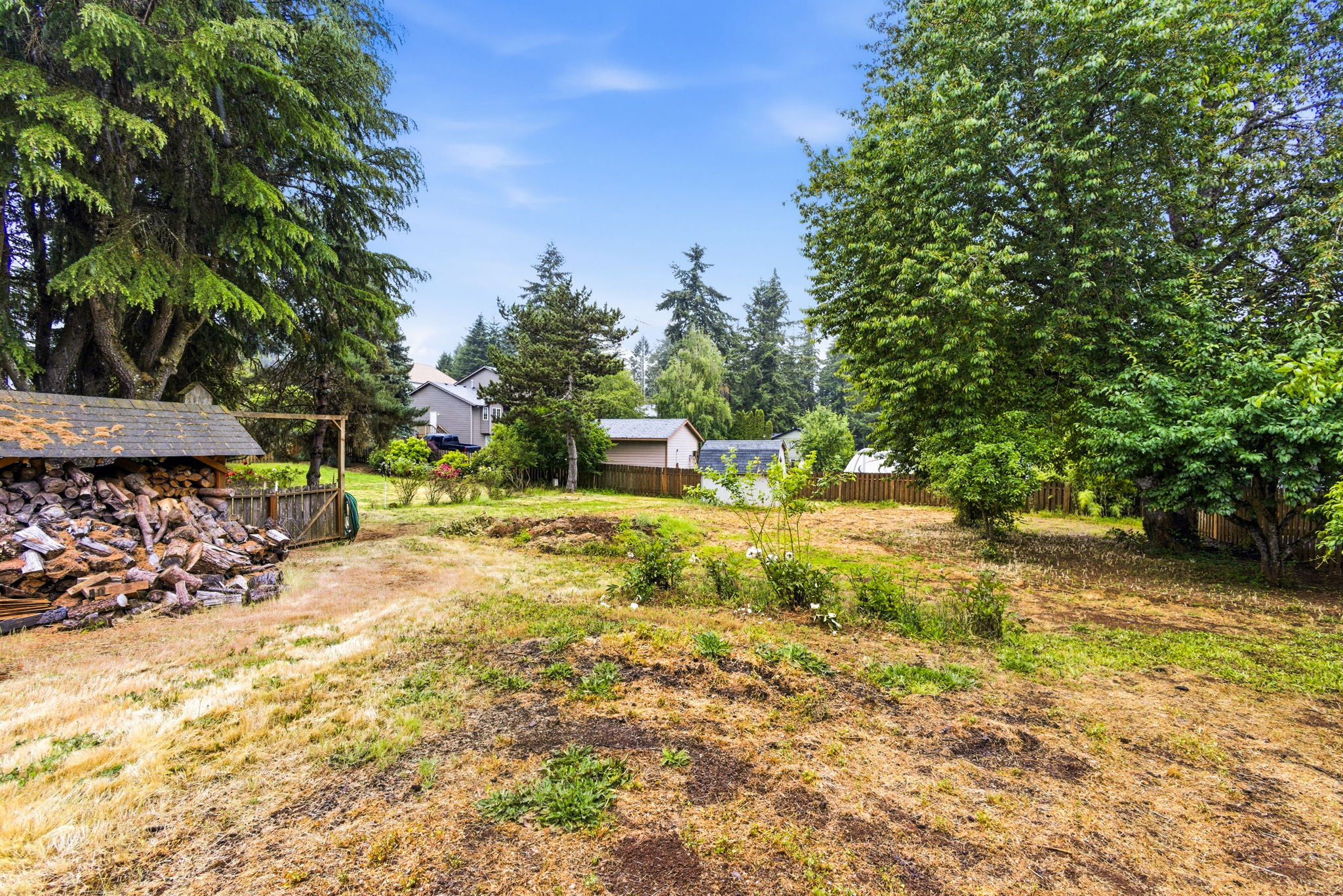 Cunningham LN37