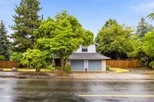 Cunningham LN1