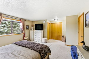 Cunningham LN25