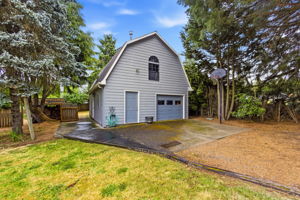 Cunningham LN38