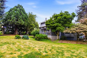 Cunningham LN36