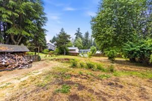 Cunningham LN37