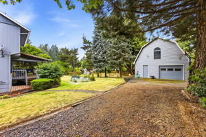 Cunningham LN35