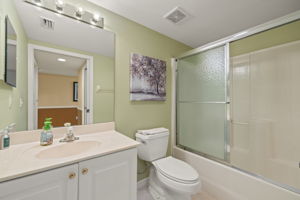 Guest Bathroom 2