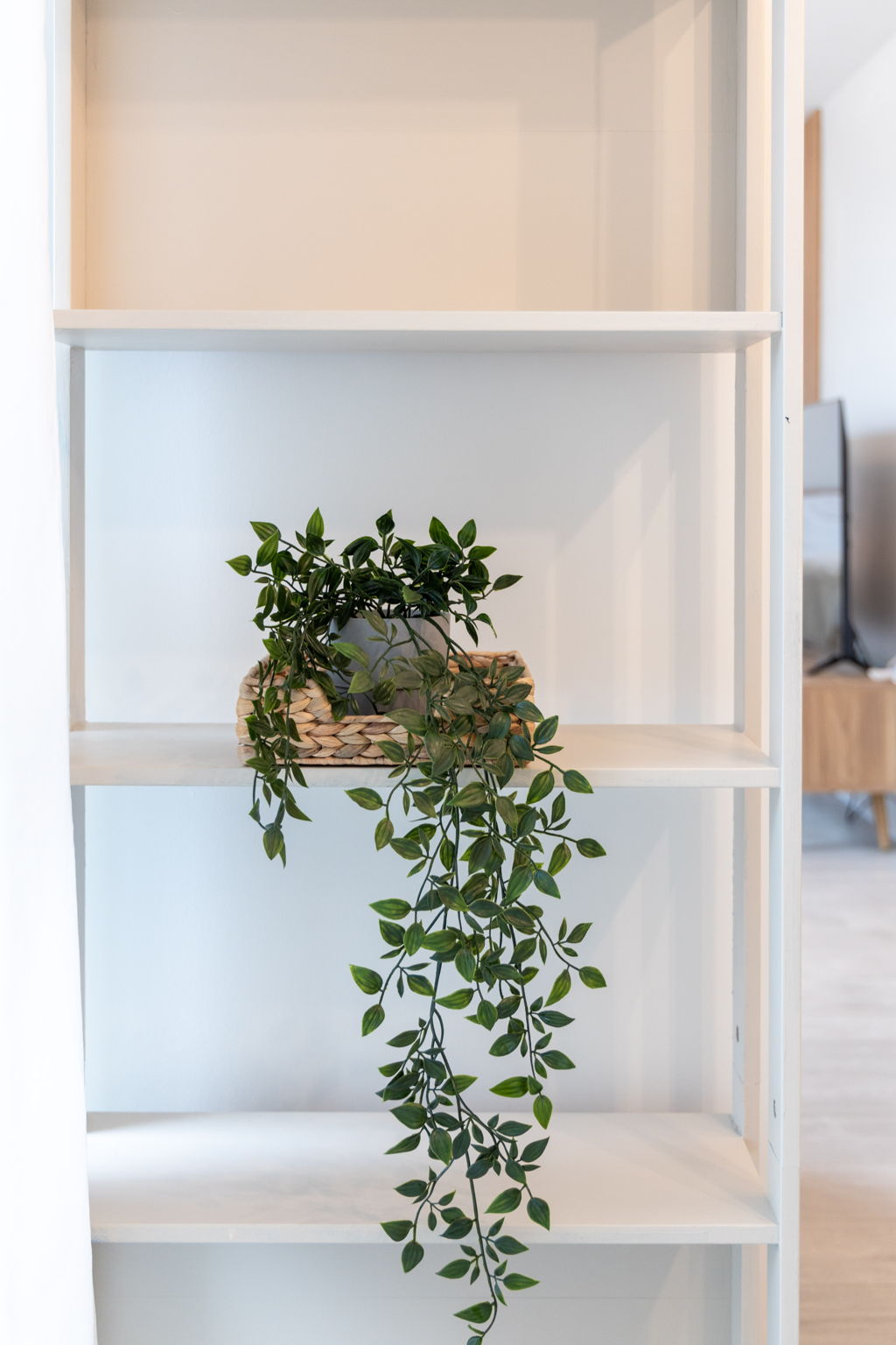 Toronto property showcase — delivered property photograph 26