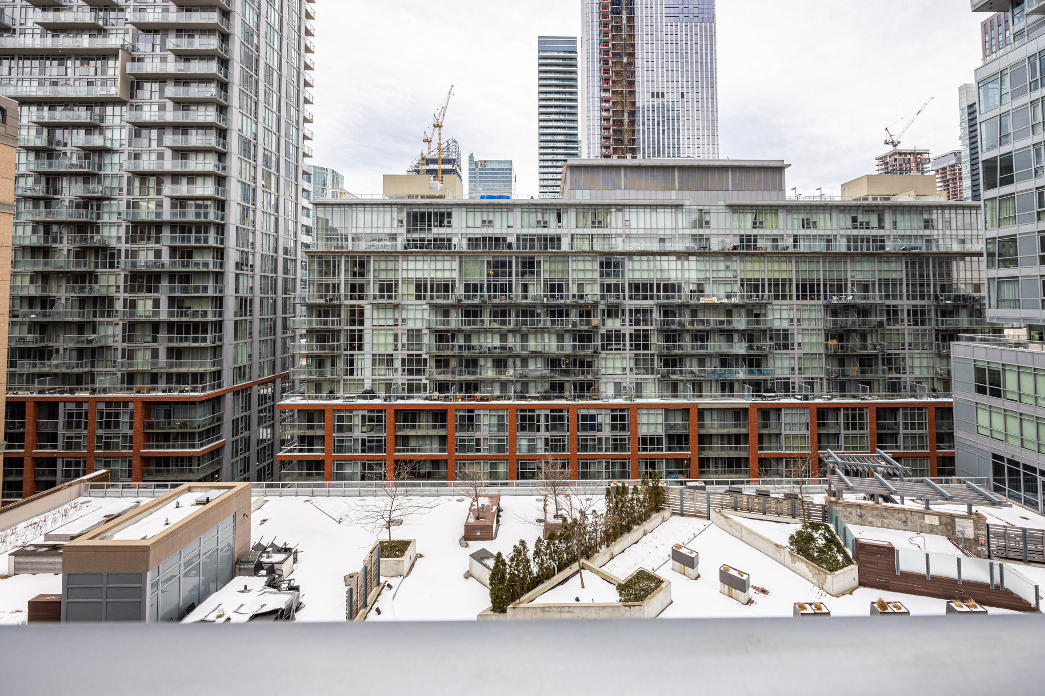 Toronto property showcase — delivered property photograph 12