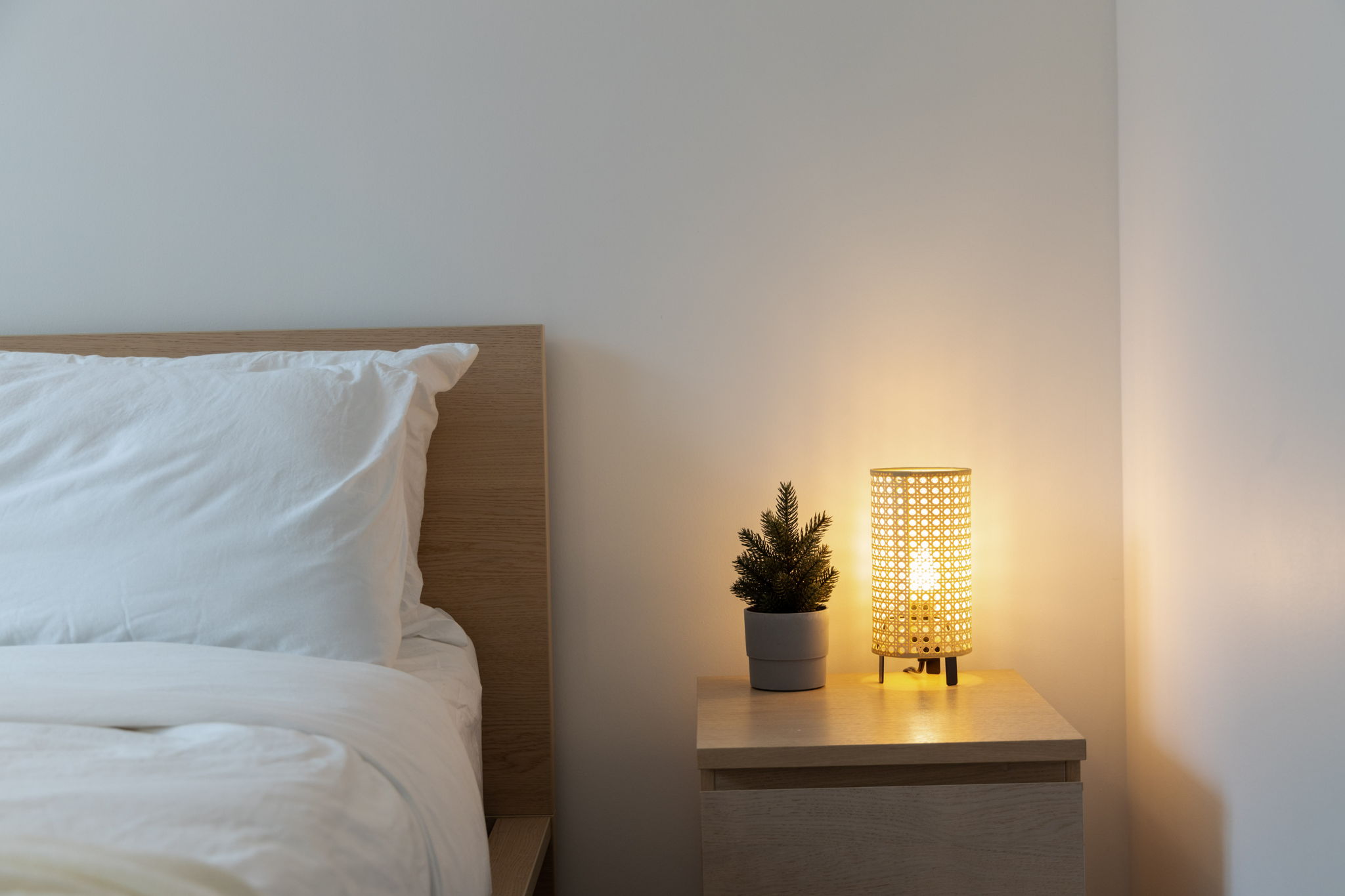 Toronto property showcase — delivered property photograph 29