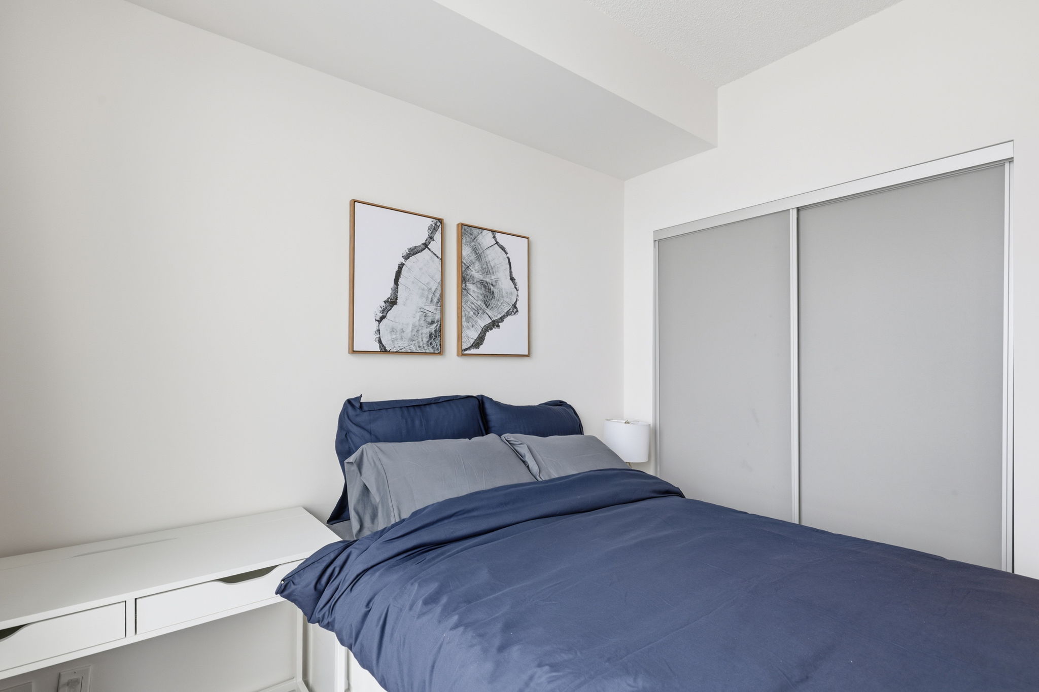 Toronto property showcase — delivered property photograph 13
